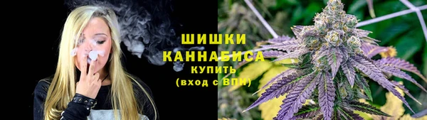 прущая мука Нея