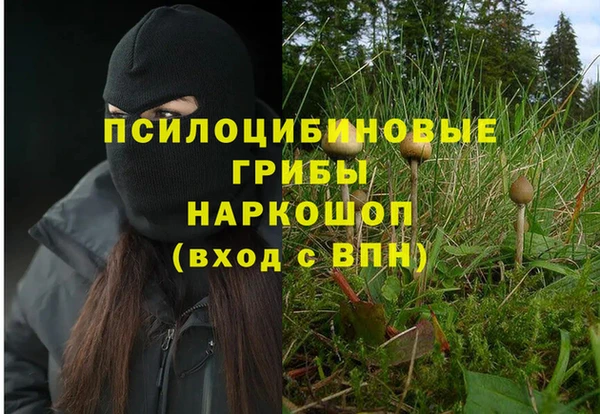 ECSTASY Нефтекумск