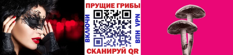 Галлюциногенные грибы ЛСД Тетюши